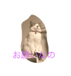みいこスタンプ2♡（個別スタンプ：3）