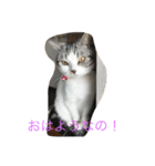 みいこスタンプ2♡（個別スタンプ：4）
