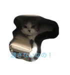 みいこスタンプ2♡（個別スタンプ：6）