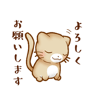 ねこのにゃんた★毎日使える（個別スタンプ：5）