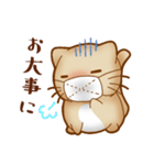 ねこのにゃんた★毎日使える（個別スタンプ：8）