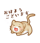 ねこのにゃんた★毎日使える（個別スタンプ：14）