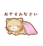 ねこのにゃんた★毎日使える（個別スタンプ：18）