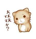 ねこのにゃんた★毎日使える（個別スタンプ：21）