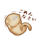ねこのにゃんた★毎日使える（個別スタンプ：24）