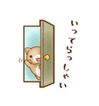 ねこのにゃんた★毎日使える（個別スタンプ：28）