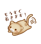 ねこのにゃんた★毎日使える（個別スタンプ：29）