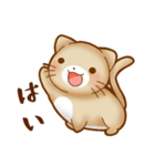 ねこのにゃんた★毎日使える（個別スタンプ：31）