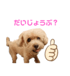 キュートすぎ！ベリーちゃんスタンプ（個別スタンプ：5）
