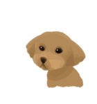 これは犬です（個別スタンプ：40）