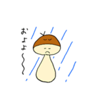 しめじはいつも。2（個別スタンプ：10）