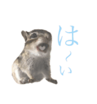 むぎぐらし ひとこと（個別スタンプ：1）