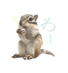 むぎぐらし ひとこと（個別スタンプ：2）
