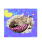 ムツゴロウ（個別スタンプ：6）