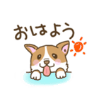 可愛いコーギーいろいろ（個別スタンプ：1）