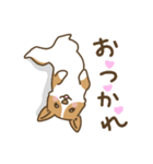 可愛いコーギーいろいろ（個別スタンプ：3）