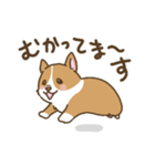可愛いコーギーいろいろ（個別スタンプ：4）