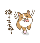 可愛いコーギーいろいろ（個別スタンプ：5）