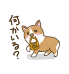可愛いコーギーいろいろ（個別スタンプ：6）