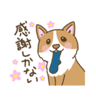 可愛いコーギーいろいろ（個別スタンプ：8）