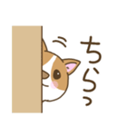 可愛いコーギーいろいろ（個別スタンプ：11）