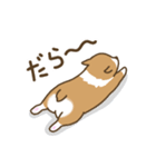 可愛いコーギーいろいろ（個別スタンプ：12）