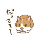 可愛いコーギーいろいろ（個別スタンプ：16）