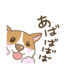 可愛いコーギーいろいろ（個別スタンプ：17）