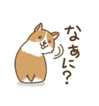 可愛いコーギーいろいろ（個別スタンプ：19）
