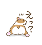 可愛いコーギーいろいろ（個別スタンプ：20）