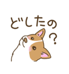 可愛いコーギーいろいろ（個別スタンプ：21）
