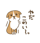 可愛いコーギーいろいろ（個別スタンプ：24）