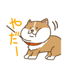 可愛いコーギーいろいろ（個別スタンプ：25）
