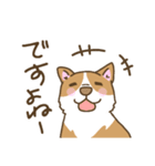 可愛いコーギーいろいろ（個別スタンプ：28）