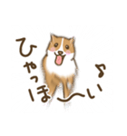 可愛いコーギーいろいろ（個別スタンプ：31）