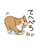 可愛いコーギーいろいろ（個別スタンプ：34）