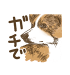 可愛いコーギーいろいろ（個別スタンプ：39）