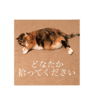 はなぽたそ（個別スタンプ：2）