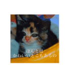 はなぽたそ（個別スタンプ：5）