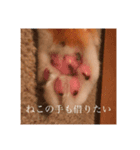 はなぽたそ（個別スタンプ：7）
