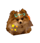 うちの愛犬モコ（個別スタンプ：3）