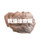 とんきちスタンプ第3弾(公式)（個別スタンプ：7）