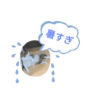 猫のノルウェージャンの日常(夏)（個別スタンプ：3）