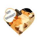 doggo stamp 3（個別スタンプ：5）