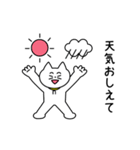 おうちの留守番ネコリコ（個別スタンプ：1）