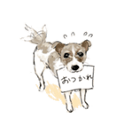 かわいい犬のいる生活（個別スタンプ：14）