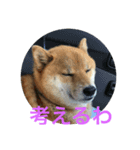 ほのぼの元気くん4️⃣（個別スタンプ：1）