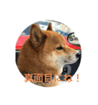 ほのぼの元気くん4️⃣（個別スタンプ：2）