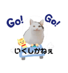 セリフだけ違う猫（個別スタンプ：4）
