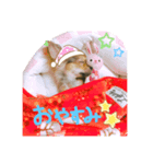 こたときら（個別スタンプ：4）
